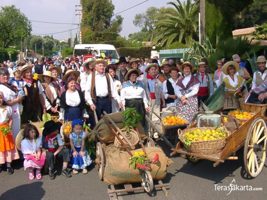 Karpet Raksasa dari Bunga 008 Karpet Raksasa dari Bunga 008